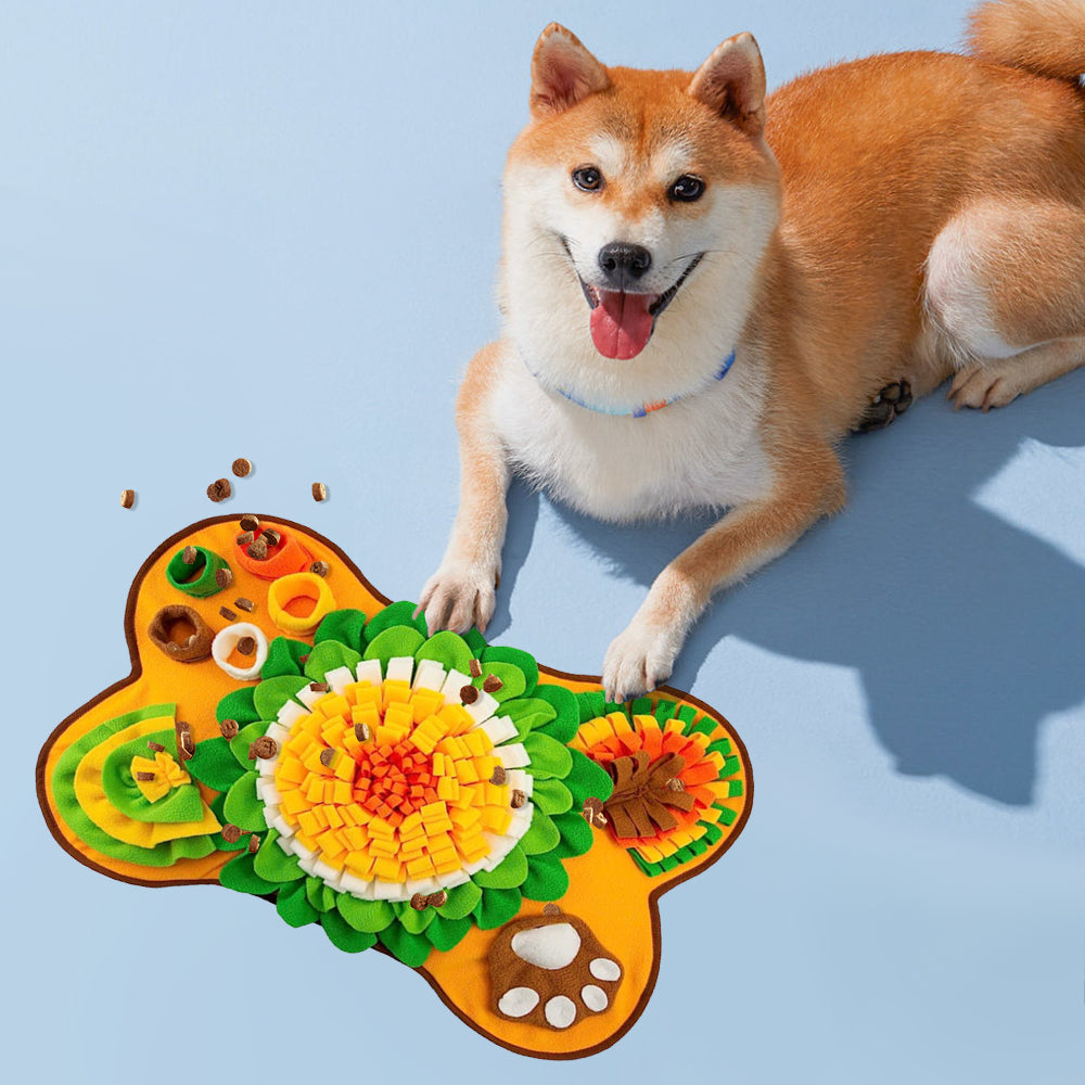Pet Snuffle Mat