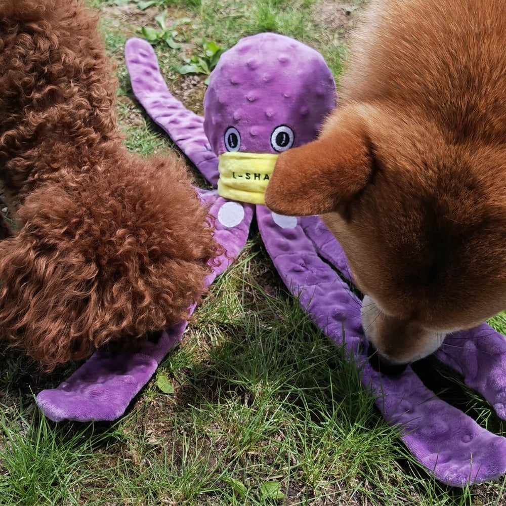 Octopus Snuffle Toy