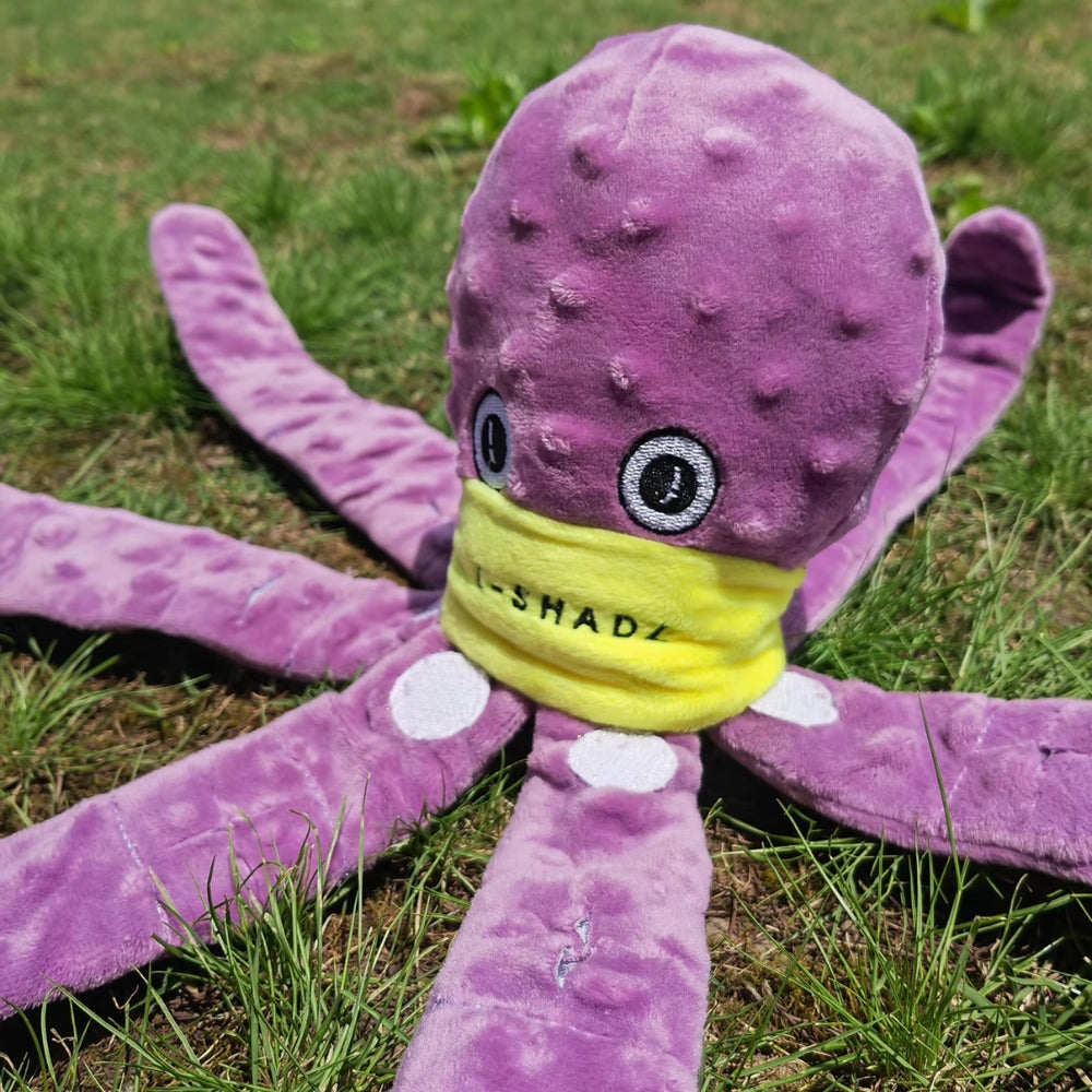 Octopus Snuffle Toy