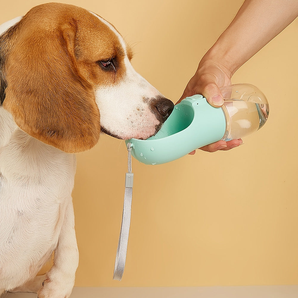 Pet Water Bottle