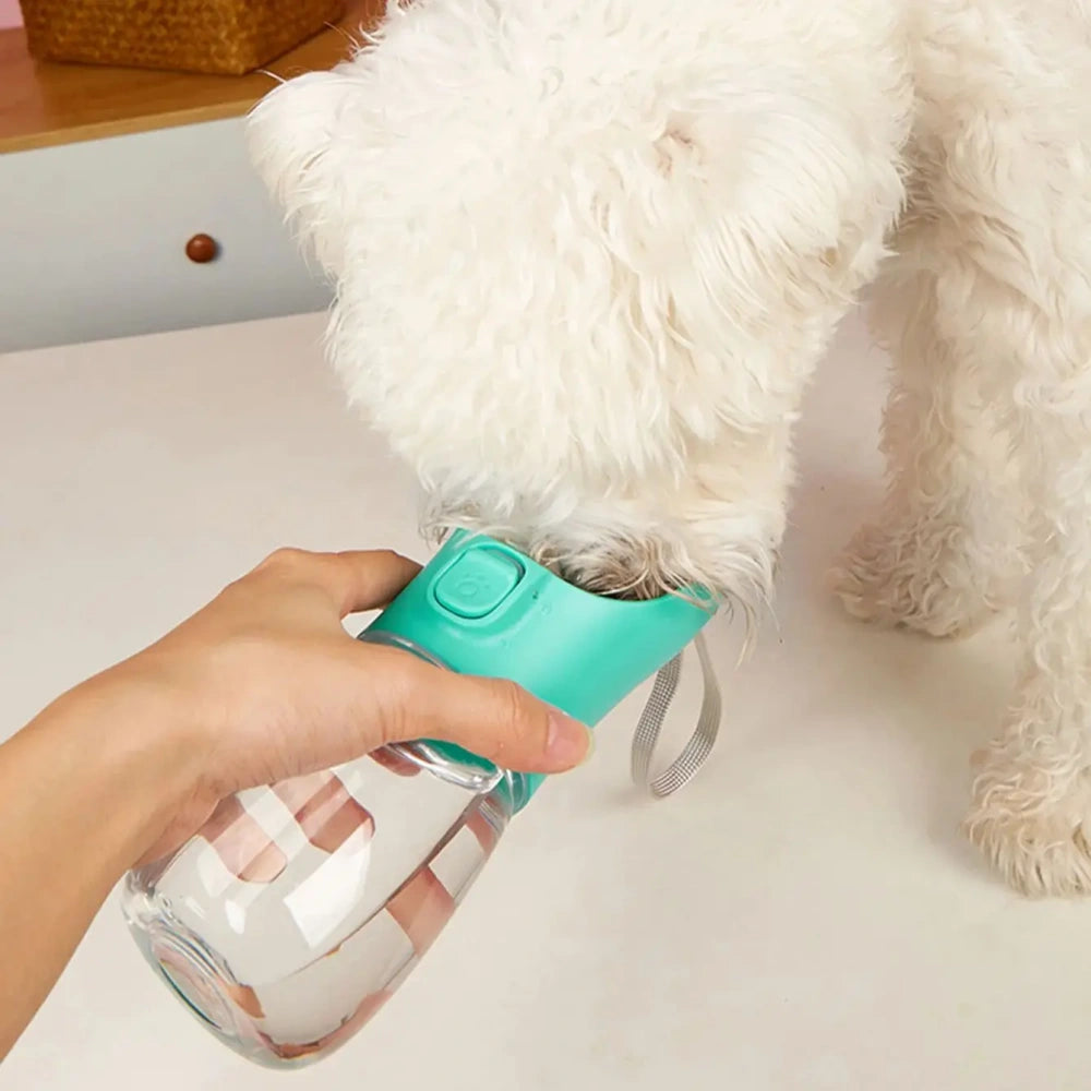 Pet Water Bottle