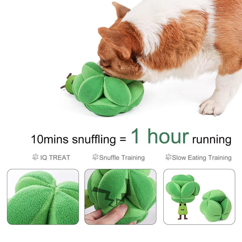 Mr Brocolis Snuffle Toy