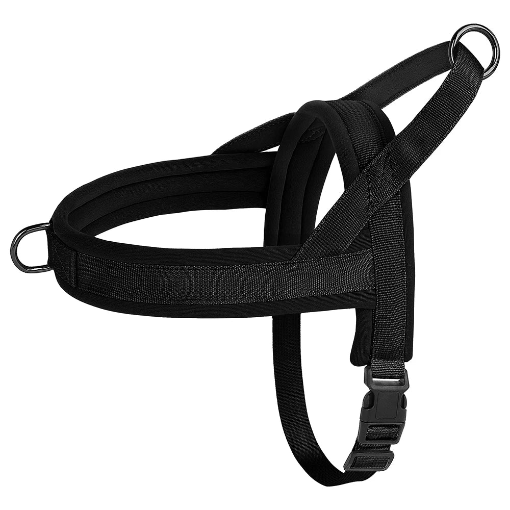 No-Pull Harness