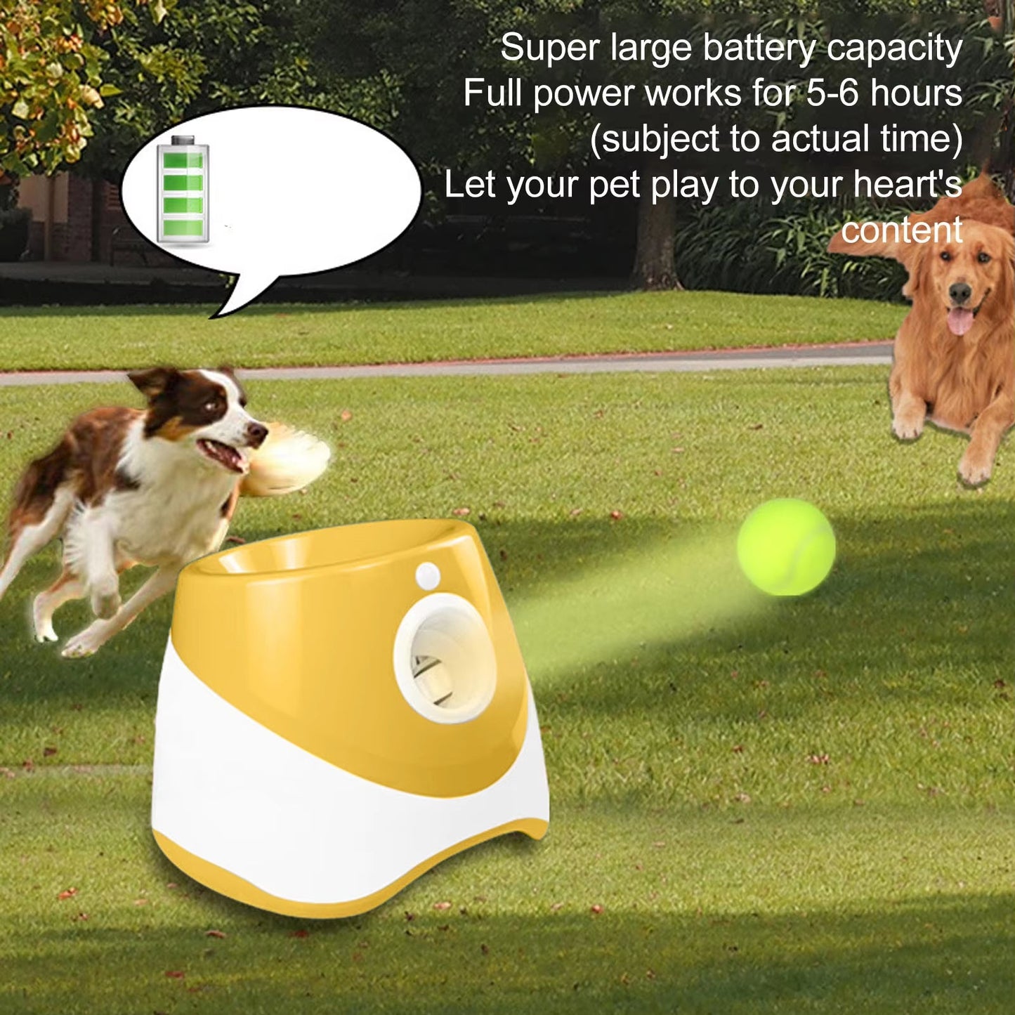 Automatic Ball Launcher - Waggle & Fetch - 