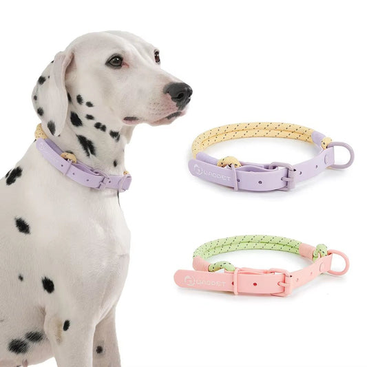 Candy Collar - Waggle & Fetch - 