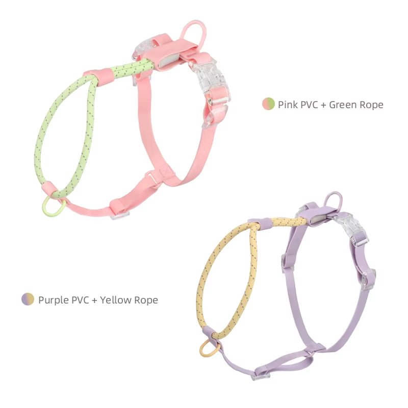 Candy Summer Harness - Waggle & Fetch - 