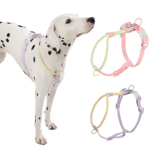 Candy Summer Harness - Waggle & Fetch - 