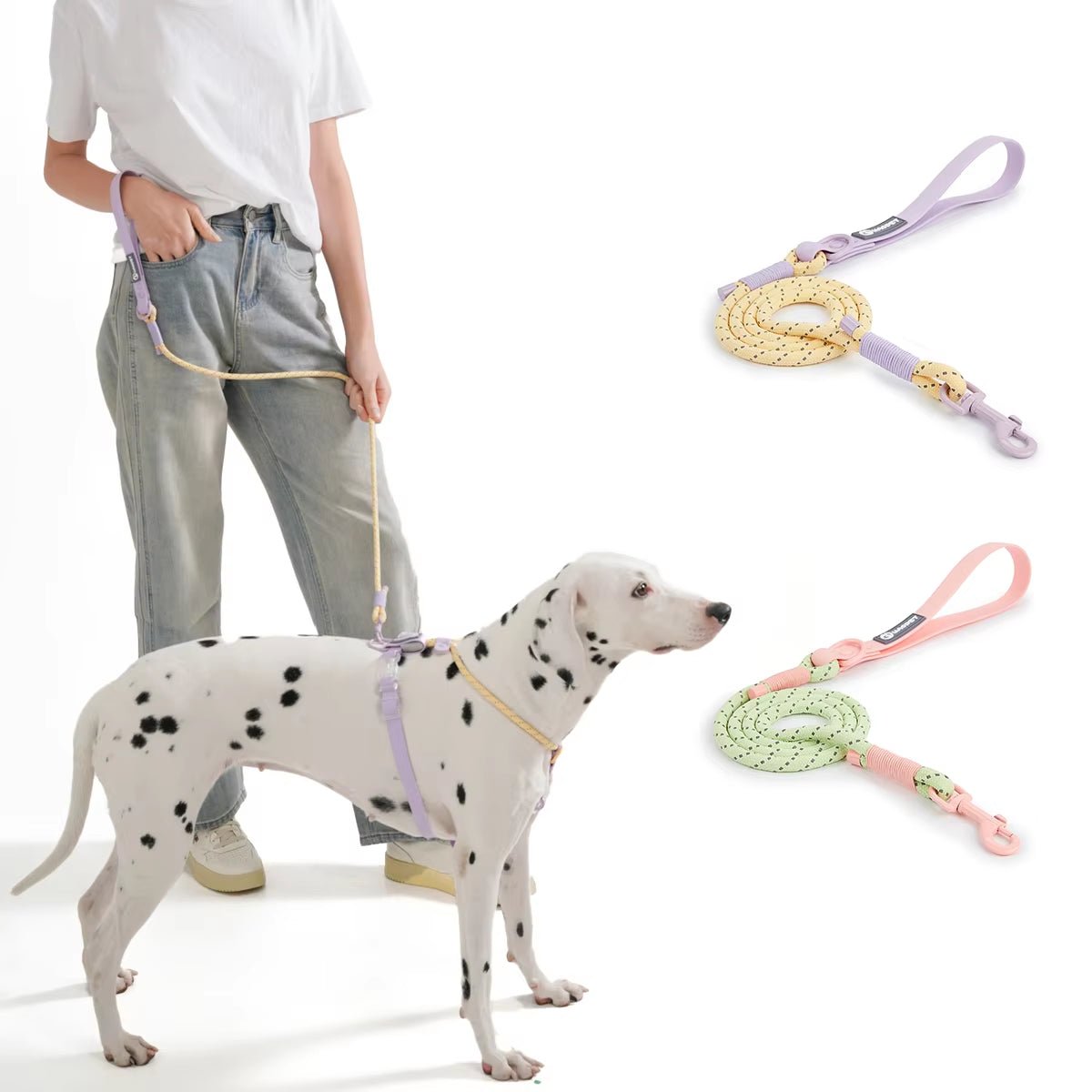 Candy Summer Leash - Waggle & Fetch - 