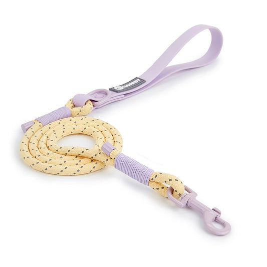 Candy Summer Leash - Waggle & Fetch - 