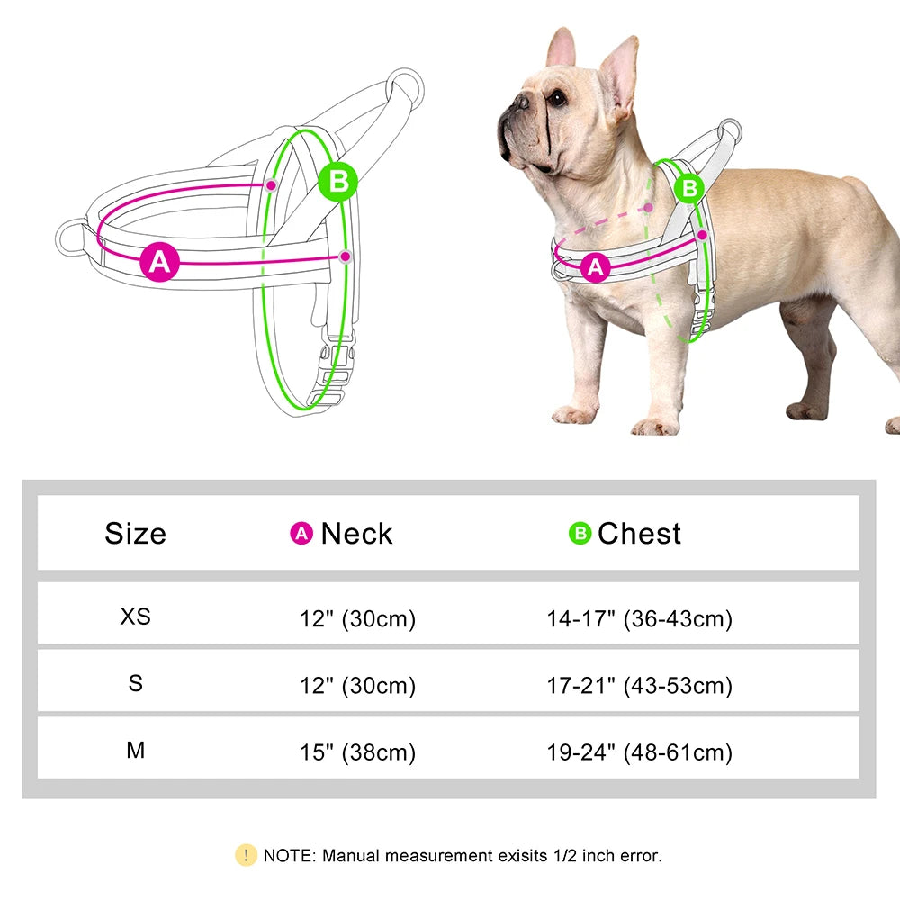 No-Pull Harness