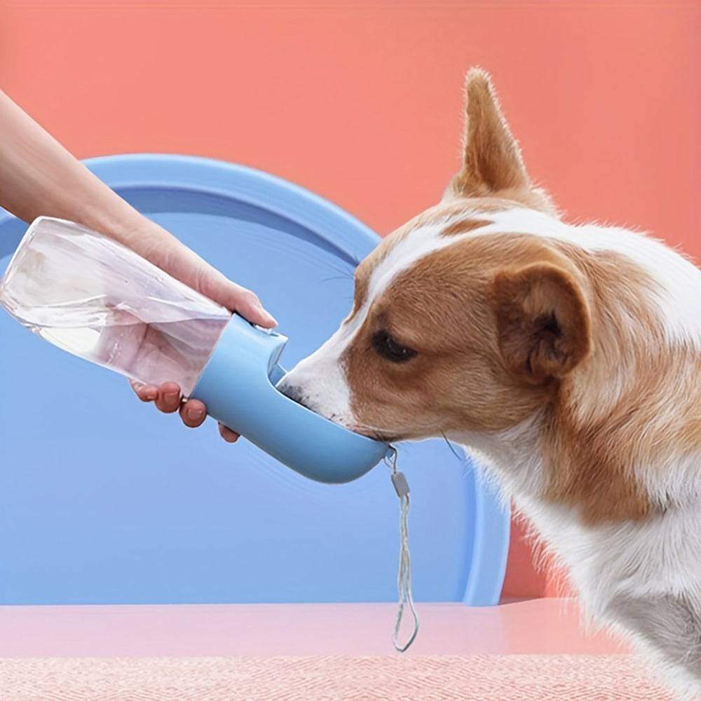 Pet Water Bottle